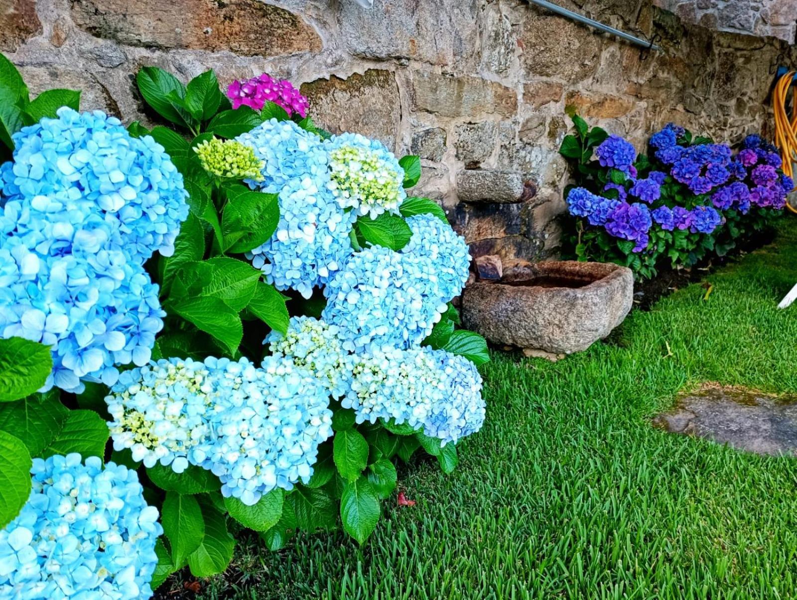 Vila Remanso Azul Moaña Exteriér fotografie
